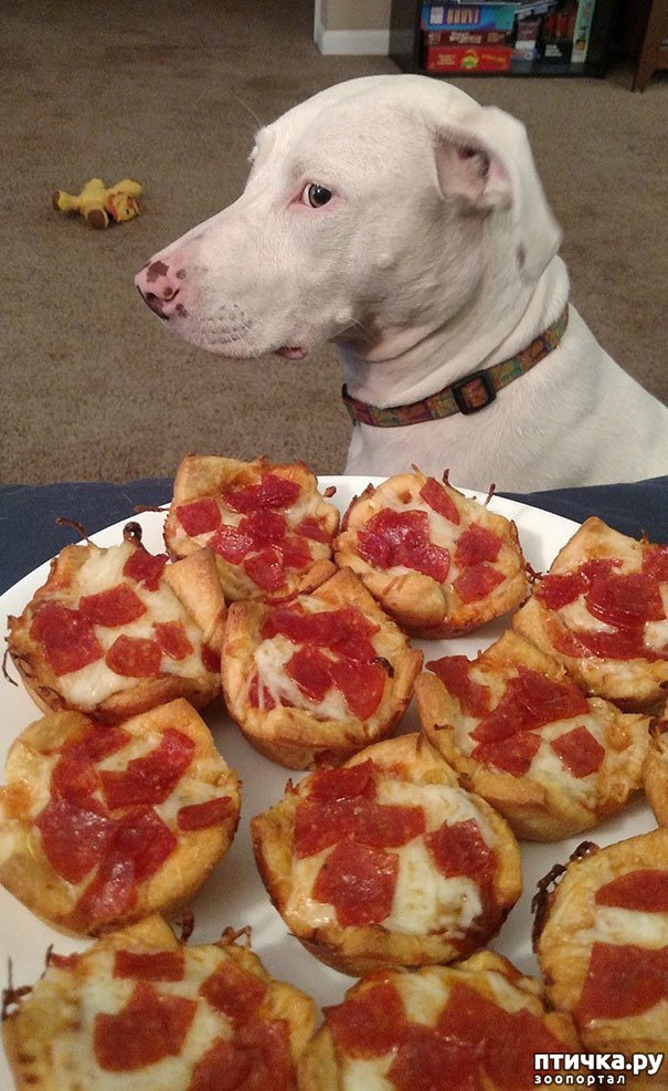 ���� 23: ������ - ����������)))