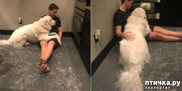 ���� 24: ������ - ����������)))