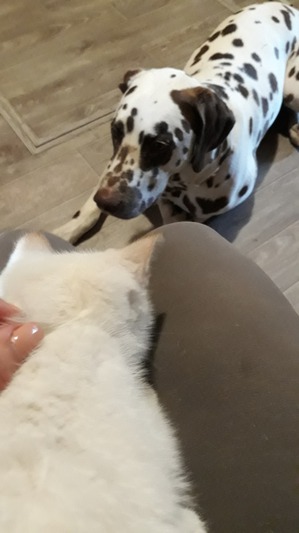 ����: ������� � �������� ������. ����� �����.