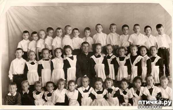 ���� 1: ��� ������.