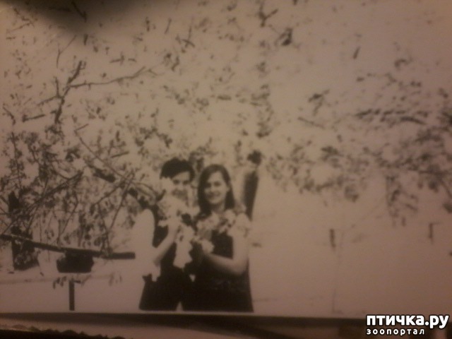 ���� 2: ��� ������.