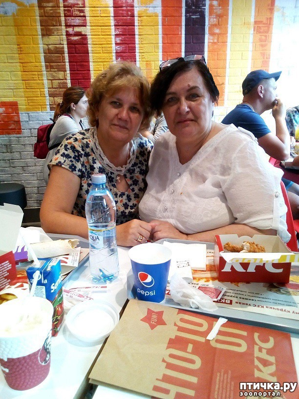 ���� 3: ��� ������.