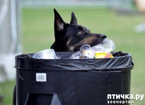 ����: ������������ ��������)))