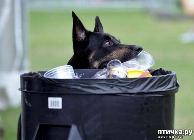 ���� 1: ������������ ��������)))