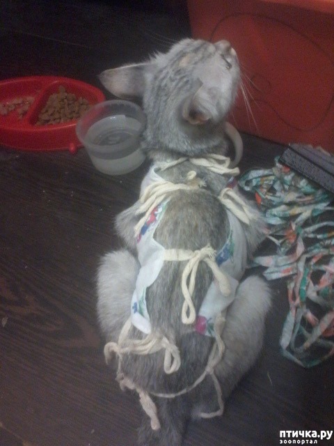 ���� 4: ��� ������.