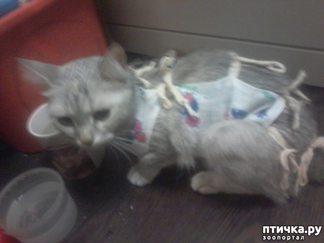 ���� 5: ��� ������.