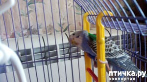 ����: ��� � �������