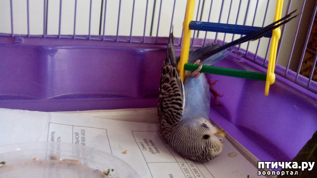 ���� 2: ��� � �������