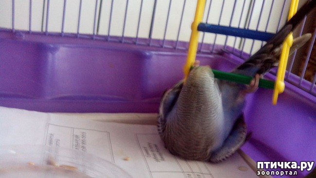 ���� 3: ��� � �������