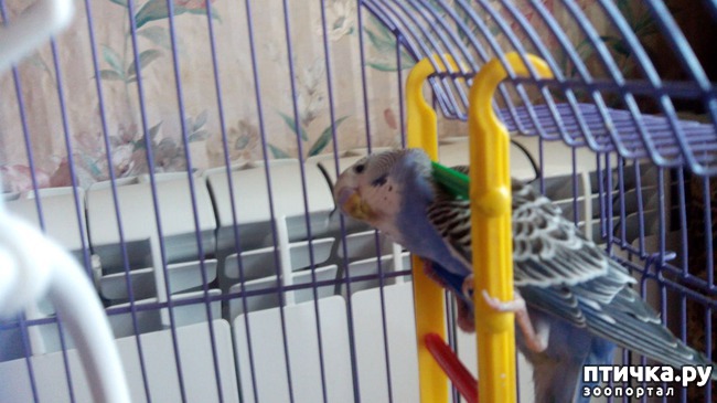 ���� 4: ��� � �������