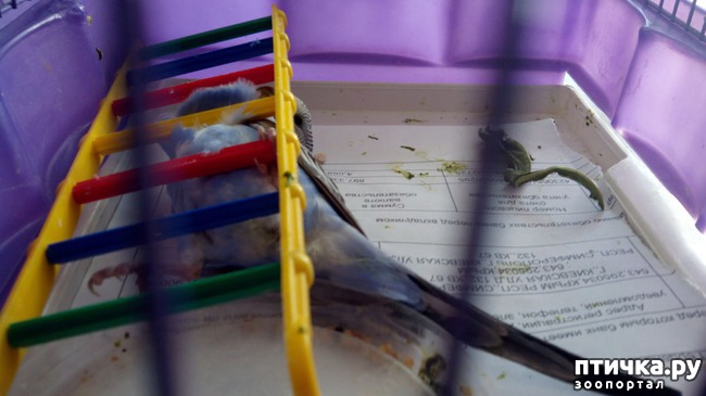 ���� 5: ��� � �������