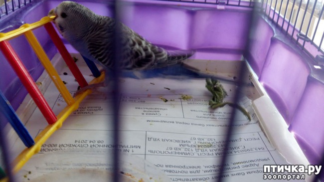 ���� 6: ��� � �������