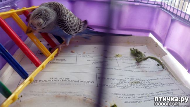 ���� 7: ��� � �������