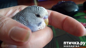 ����: ��� � ������