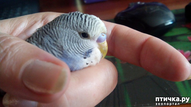 ���� 1: ��� � ������