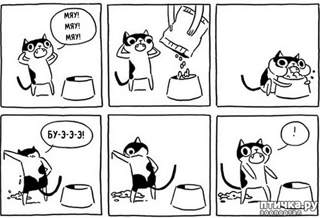 ���� 1: 14 ��������, ������� ������ ��� ��������� �����