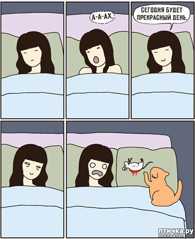 ���� 3: 14 ��������, ������� ������ ��� ��������� �����