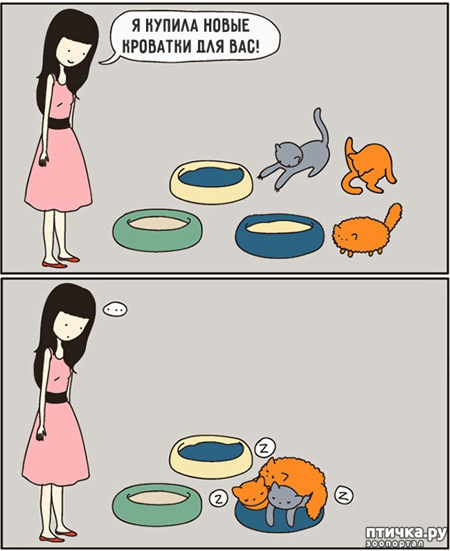 ���� 4: 14 ��������, ������� ������ ��� ��������� �����