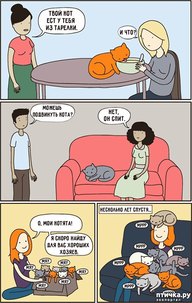 ���� 5: 14 ��������, ������� ������ ��� ��������� �����