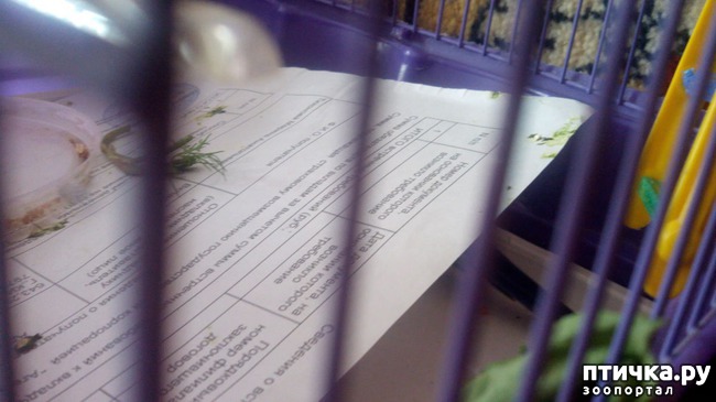 ���� 2: ��� � ������