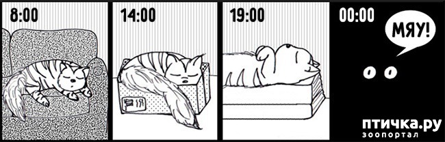 ���� 7: 14 ��������, ������� ������ ��� ��������� �����