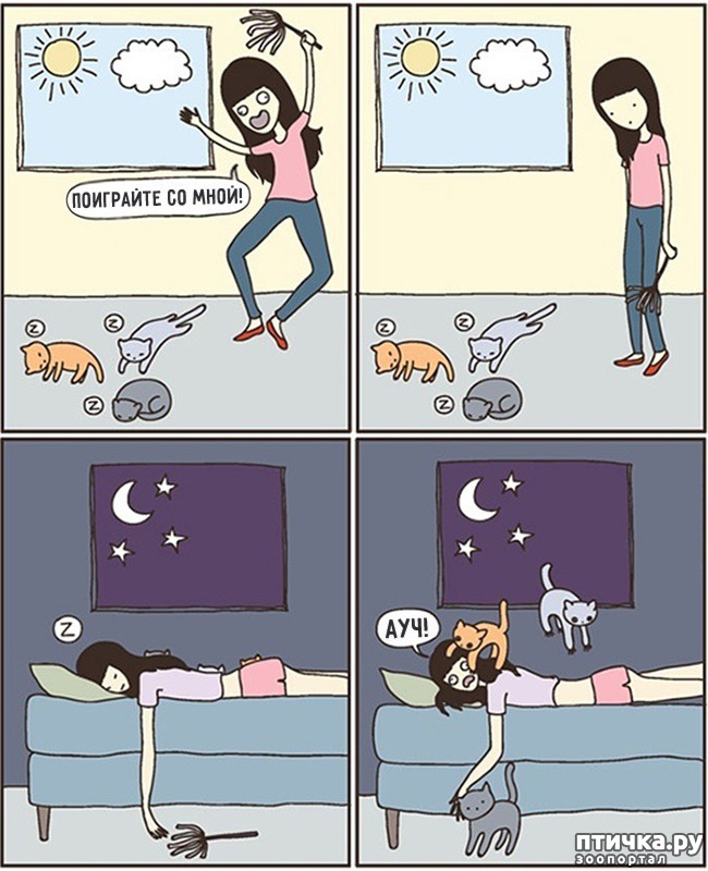 ���� 8: 14 ��������, ������� ������ ��� ��������� �����