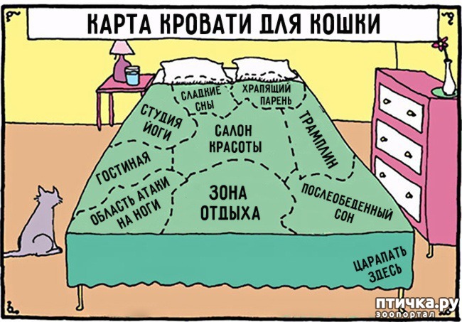 ���� 10: 14 ��������, ������� ������ ��� ��������� �����