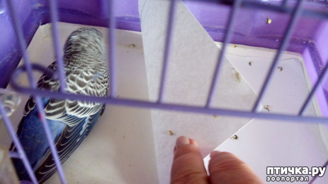 ���� 3: ��� � ������