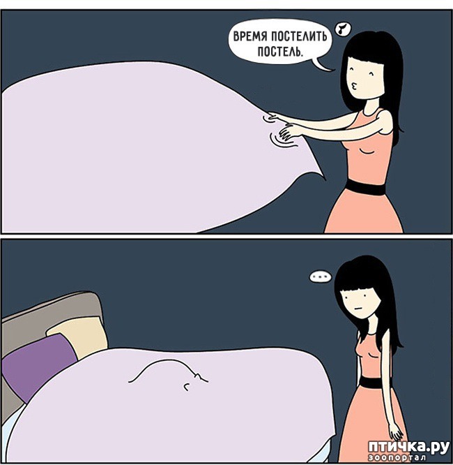 ���� 11: 14 ��������, ������� ������ ��� ��������� �����