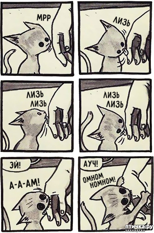 ���� 12: 14 ��������, ������� ������ ��� ��������� �����