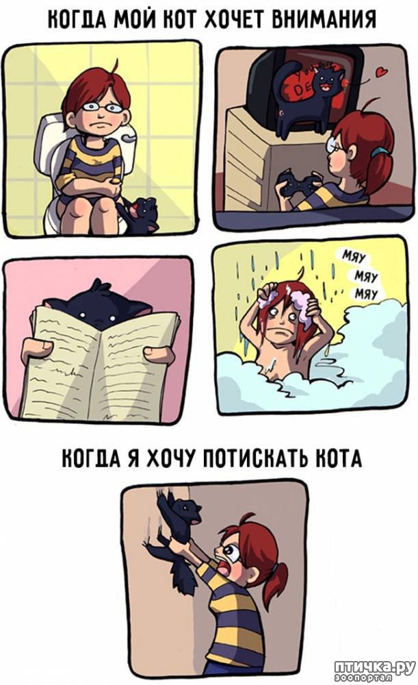 ���� 13: 14 ��������, ������� ������ ��� ��������� �����