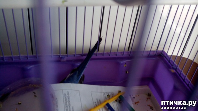 ���� 4: ��� � ������