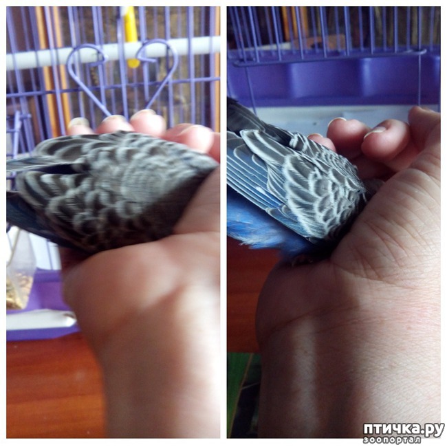 ���� 6: ��� � ������