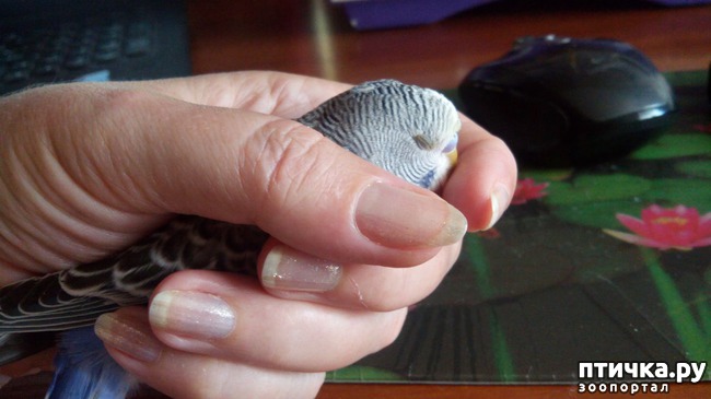 ���� 5: ��� � ������