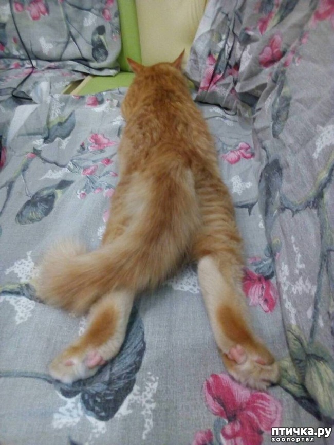 ���� 5: ����� ������, �������� ��������)