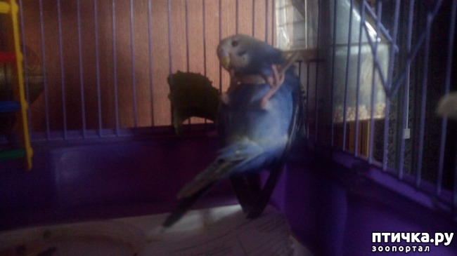 ���� 5: ��������� ����������: ��� � ��������