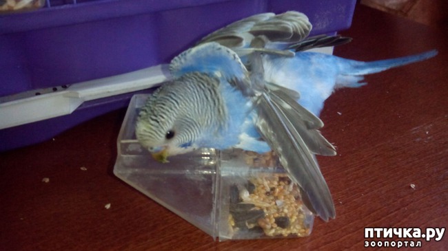 ���� 6: ��������� ����������: ��� � ��������