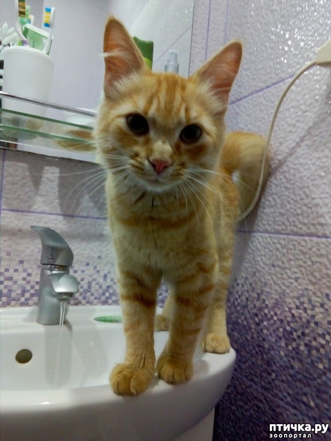 ���� 8: ����� ������, �������� ��������)