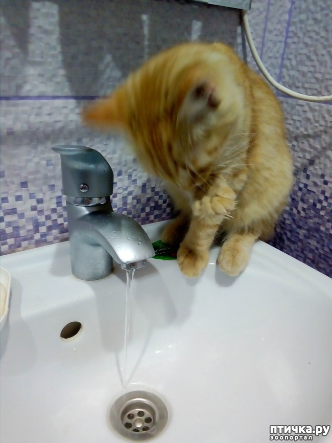 ���� 9: ����� ������, �������� ��������)