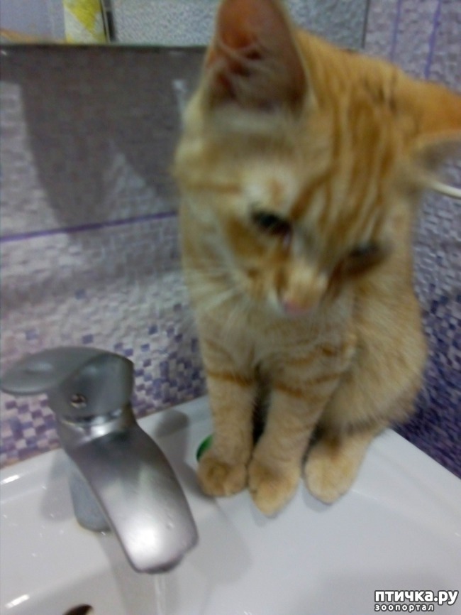 ���� 10: ����� ������, �������� ��������)