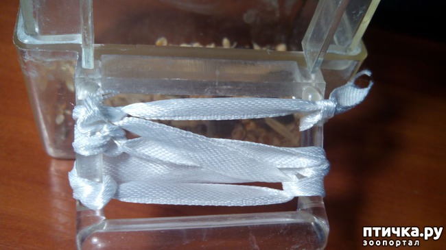 ���� 7: ��������� ����������: ��� � ��������