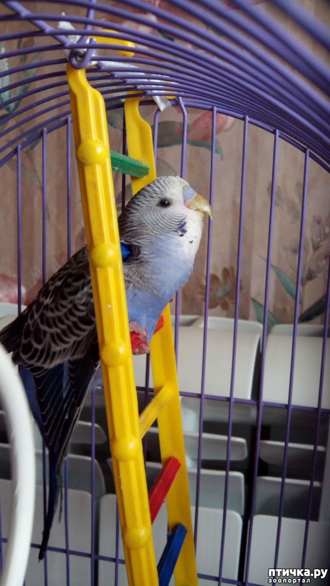 ���� 1: ��������� ����������: ��� � ��������