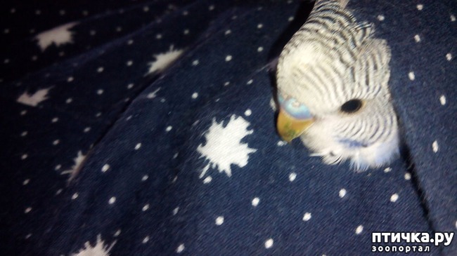 ���� 1: ��������� ����������: ��� ����