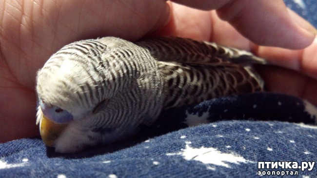 ���� 3: ��������� ����������: ��� ����