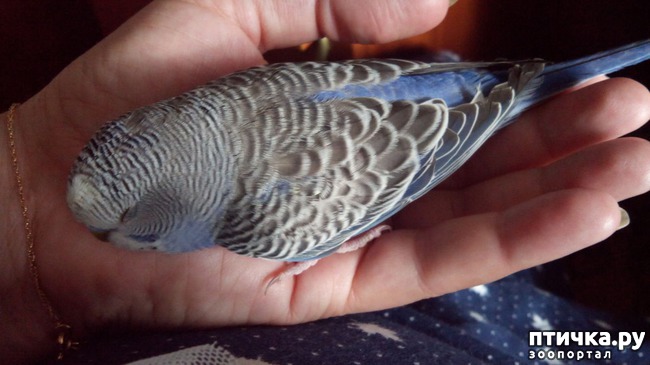 ���� 4: ��������� ����������: ��� ����