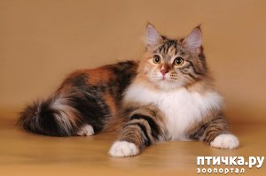 ���� 2: ������ �� ����������� ���� ��� ������ �����?