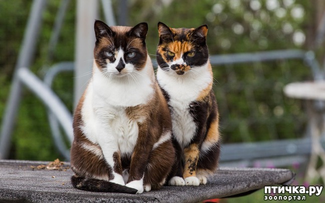 ���� 1: ������ �� ����������� ���� ��� ������ �����?