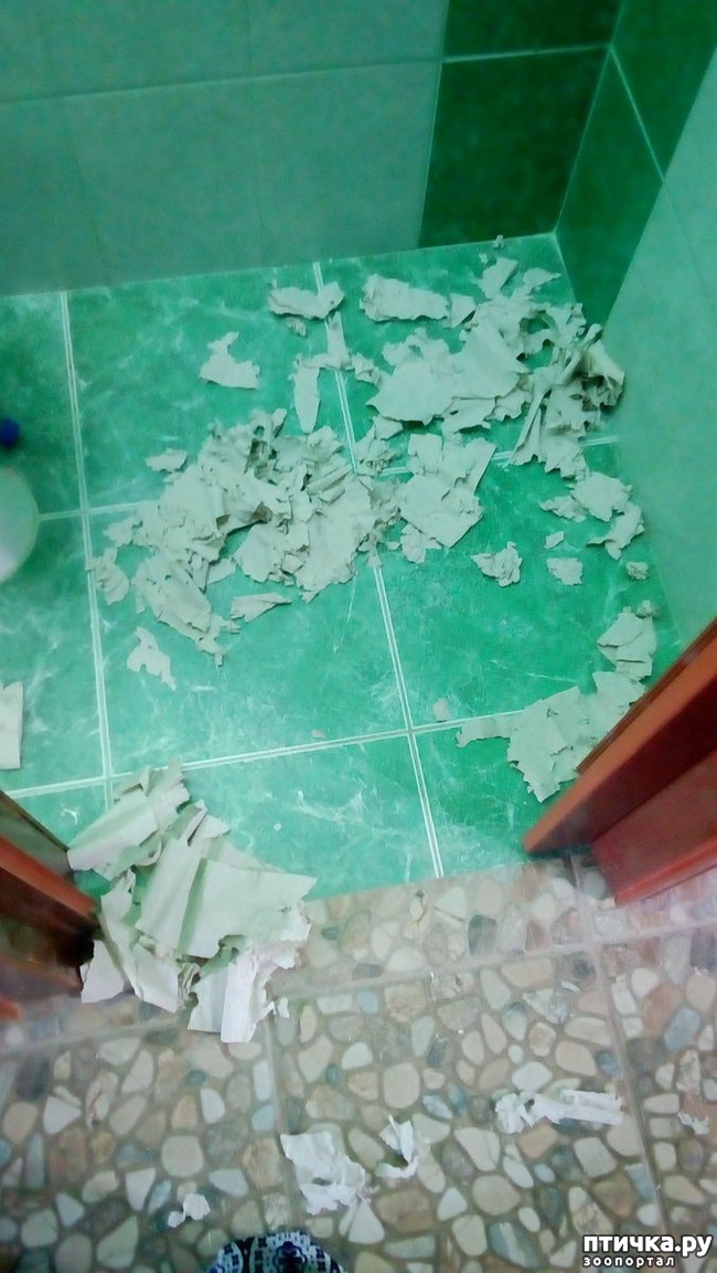 ���� 2: ����� ������, �������� ��������)