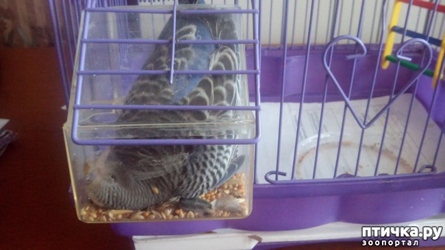 ���� 2: ��������� ����������: ��� � ��������