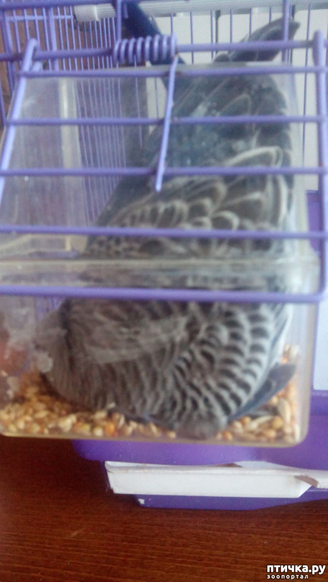 ���� 3: ��������� ����������: ��� � ��������